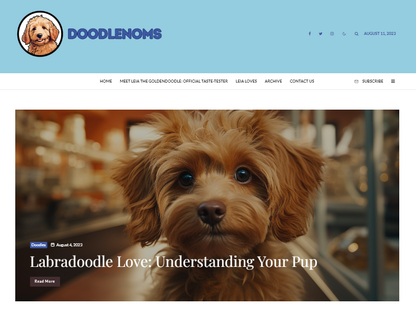 Screenshot of DoodleNoms.com website